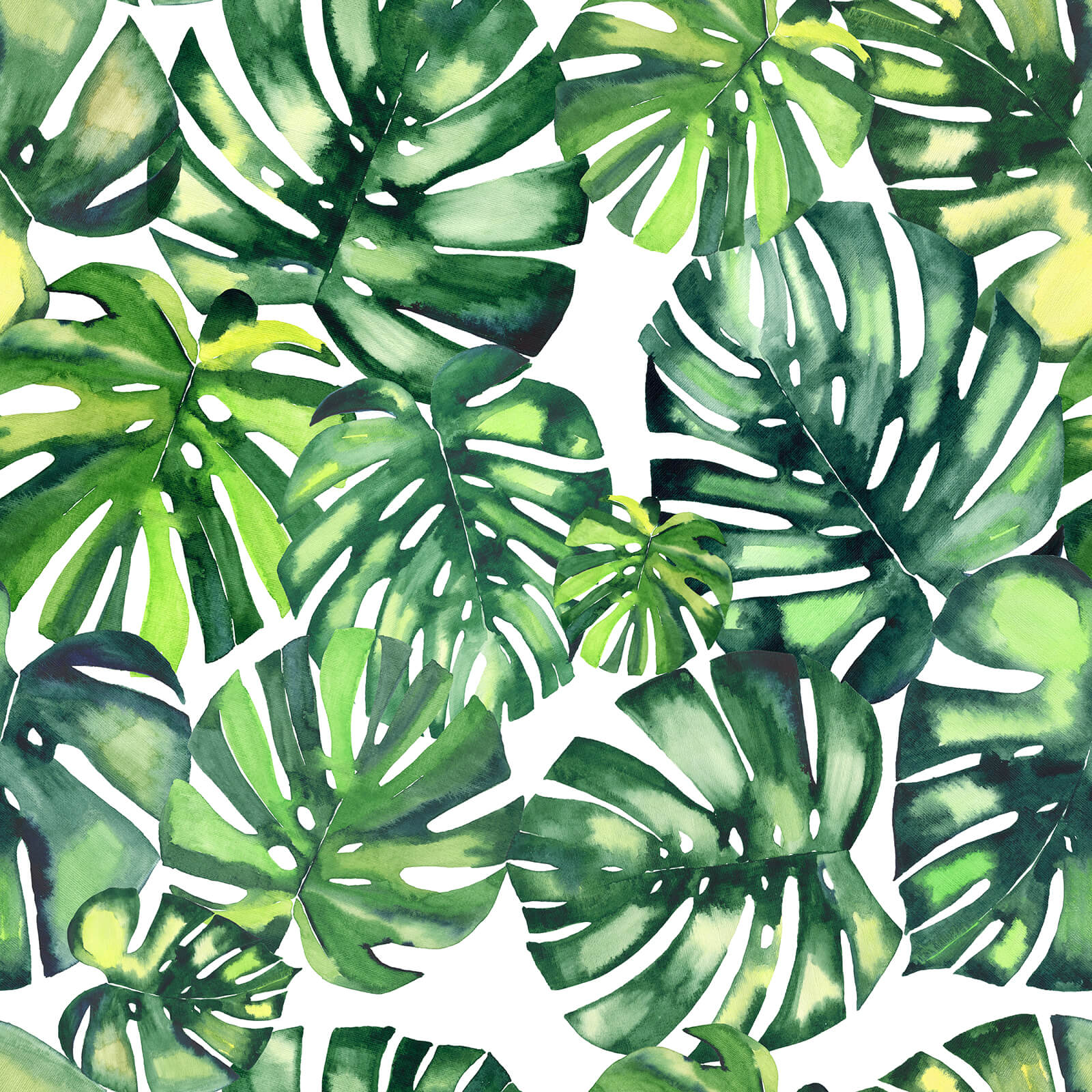chihut-green-monstera-leaves-wallpaper