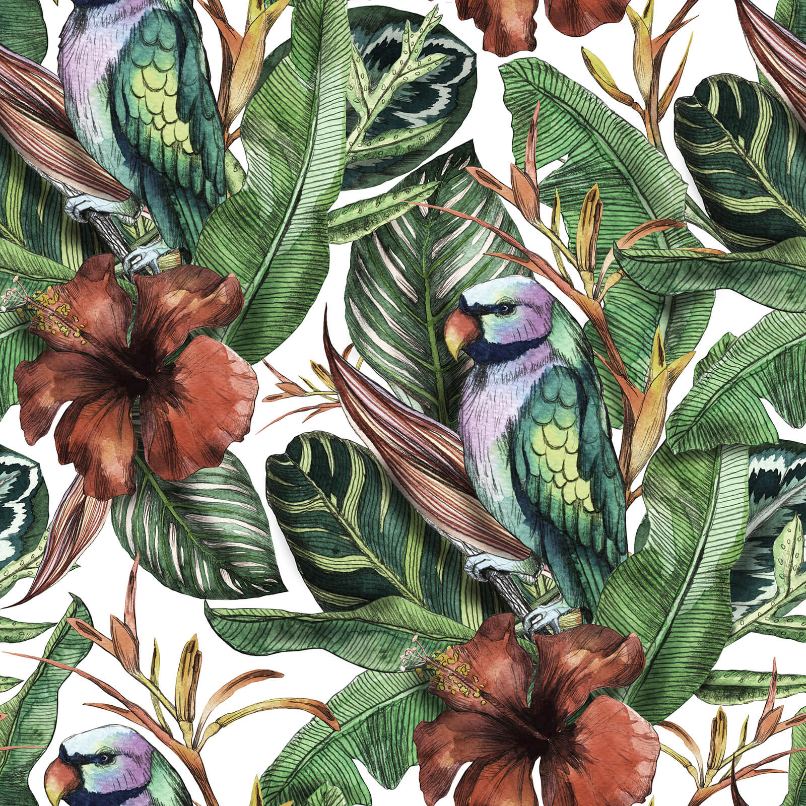     chihut-vintage-parrot-bird-wallpaper